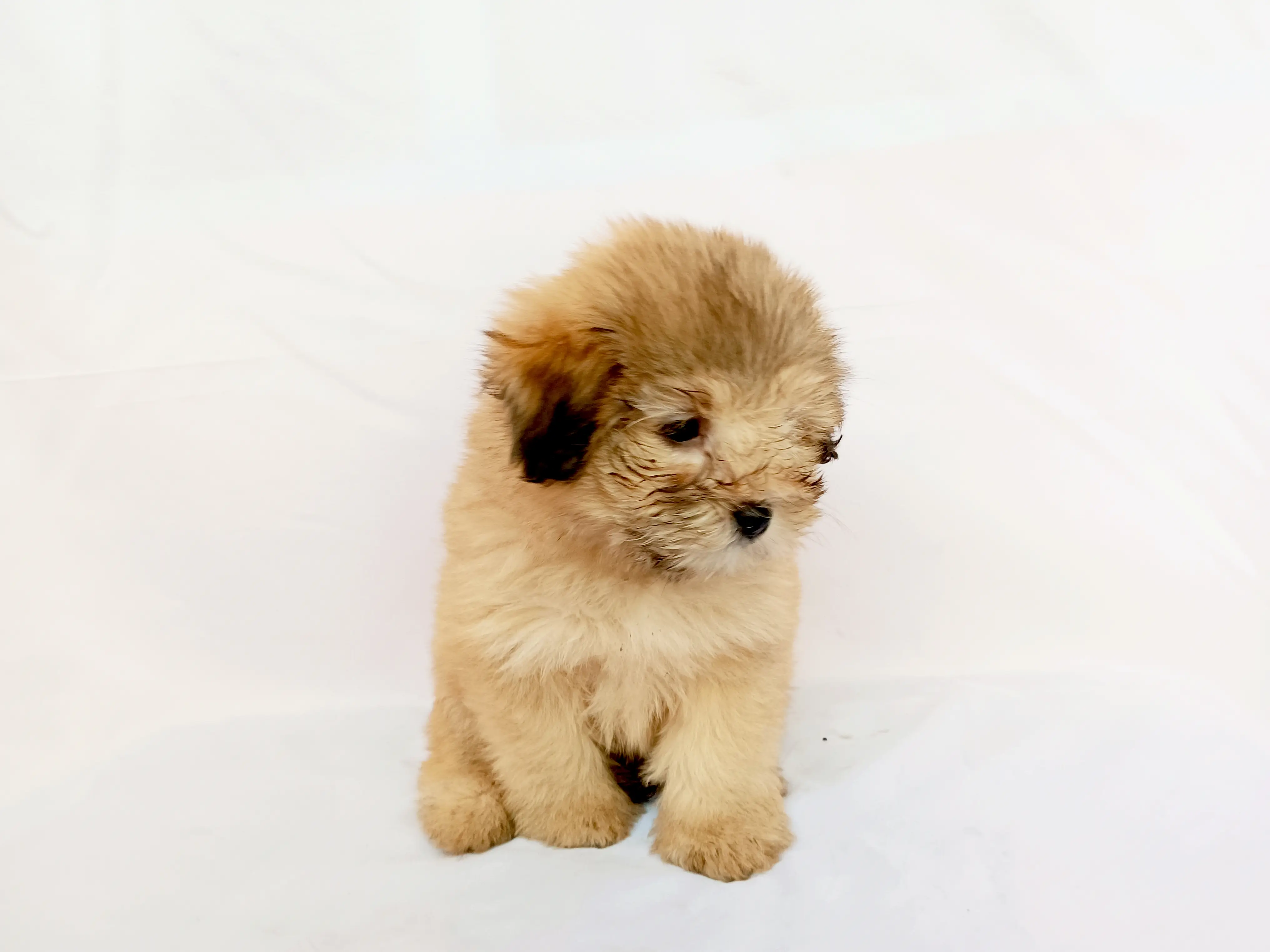 Asher photo 3