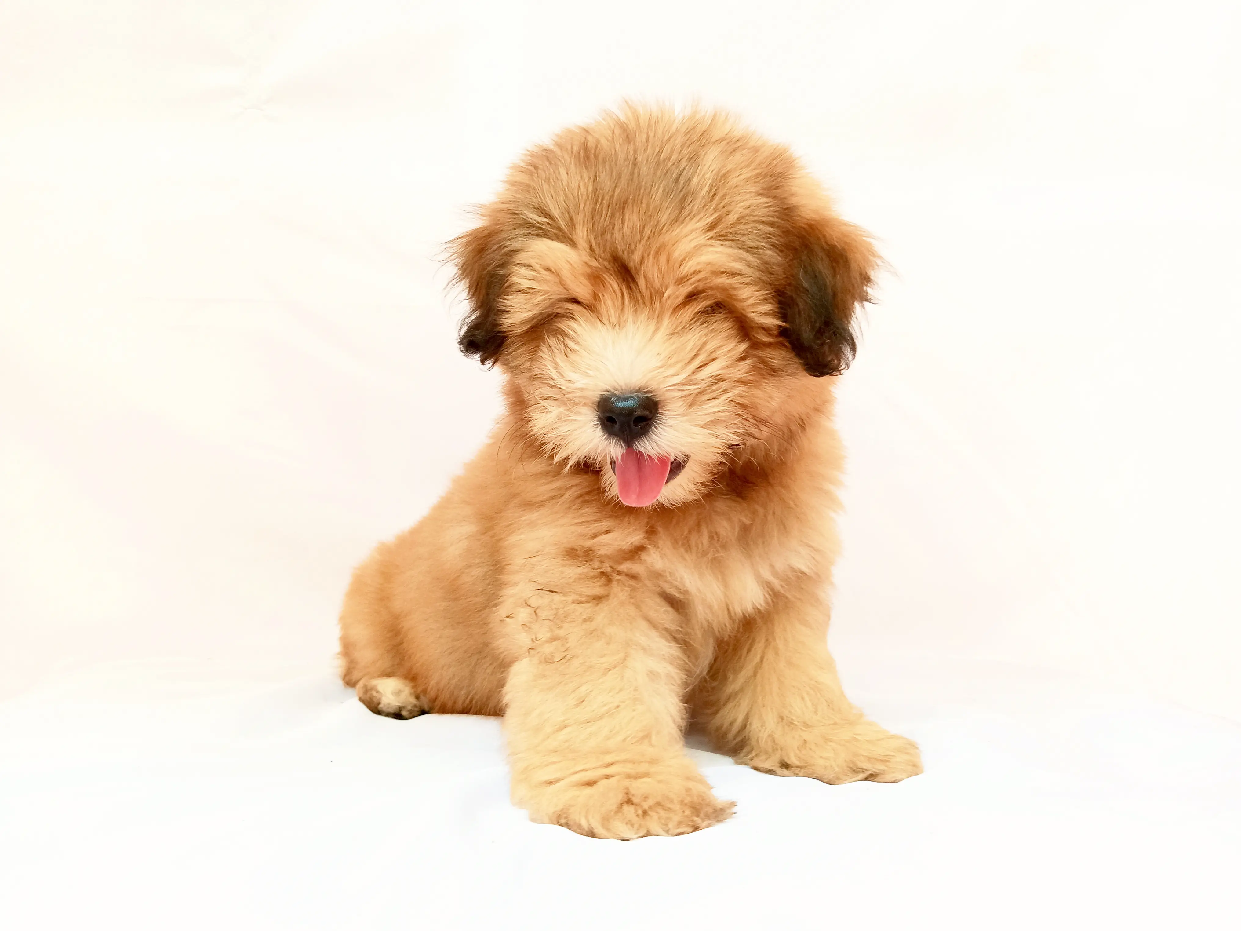 Cooper photo 4