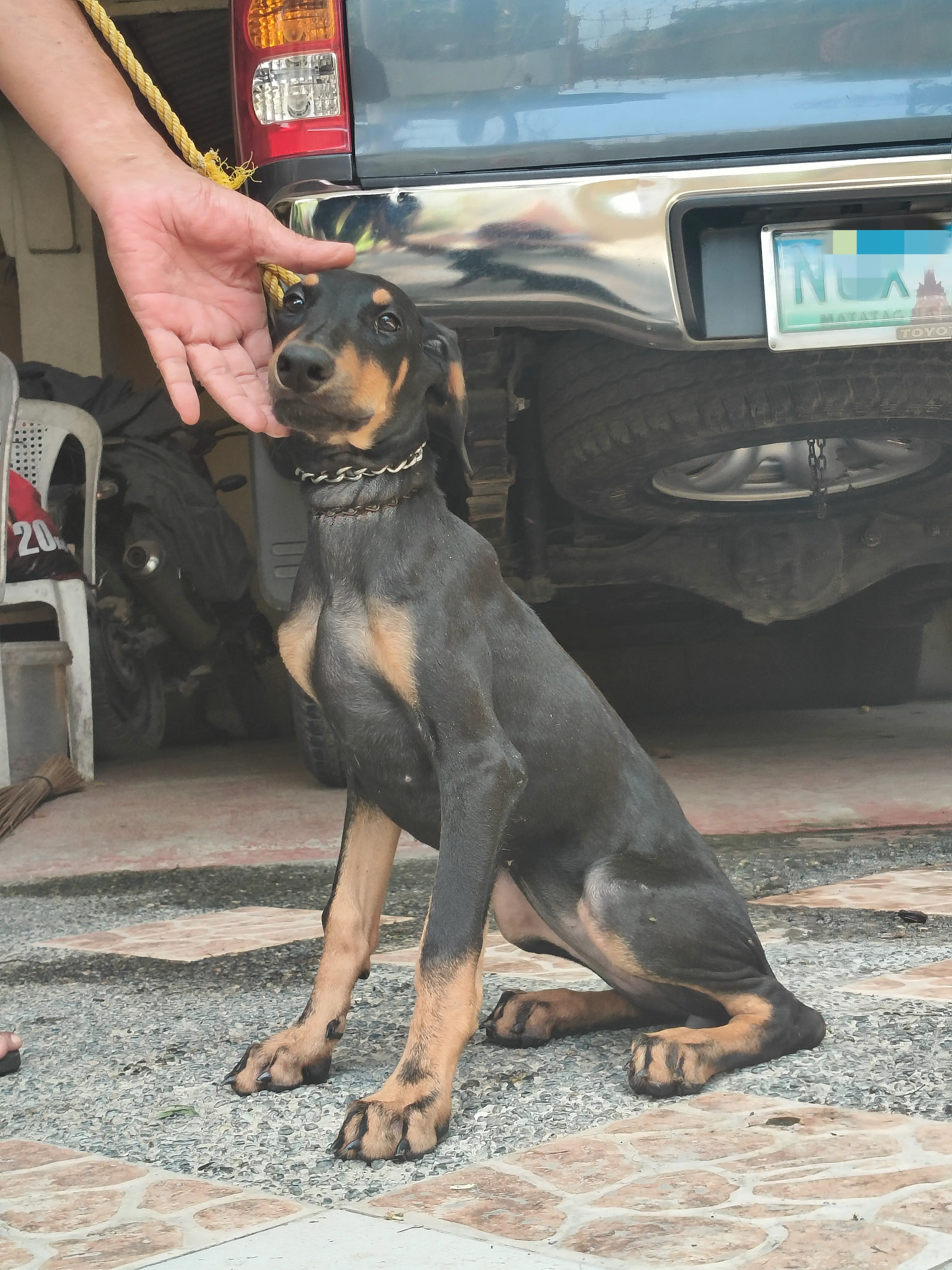 Marcella photo 4